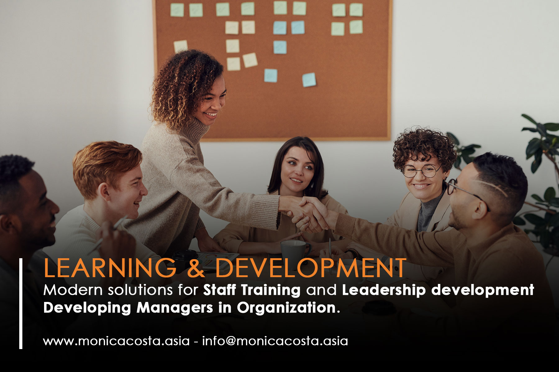 Learning and development programs