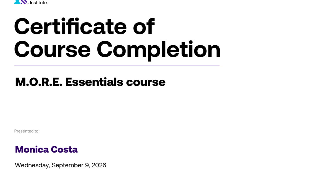 PMI Essentials M.O.R.E. Maximizing Project Success | PMI Certificate