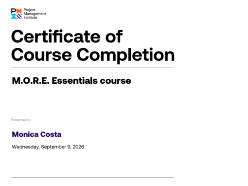 PMI Essentials M.O.R.E. Maximizing Project Success | PMI Certificate